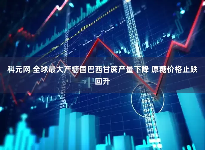 科元网 全球最大产糖国巴西甘蔗产量下降 原糖价格止跌回升