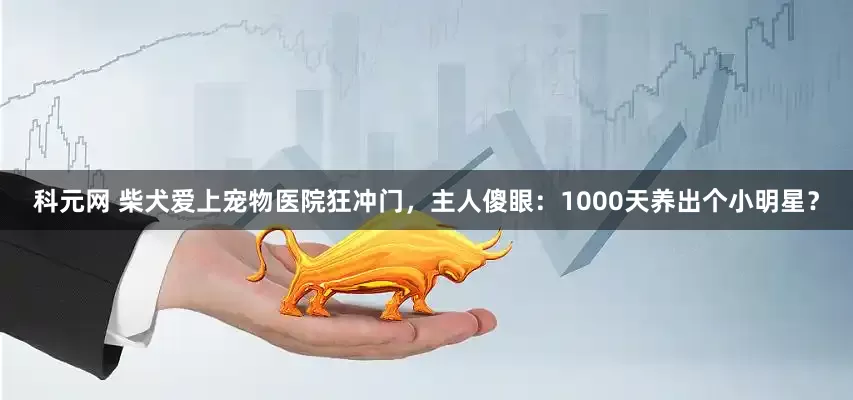 科元网 柴犬爱上宠物医院狂冲门，主人傻眼：1000天养出个小明星？